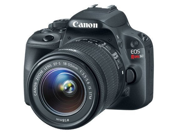 Budget Friendly Canon Rebel SL1 Lenses for Photography