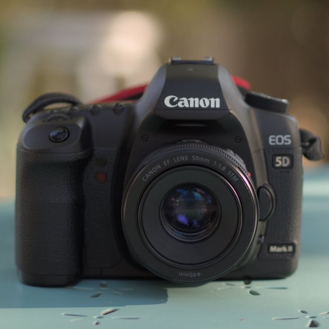 Fun & Affordable Canon 5D mark II Lenses for Photography