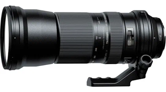 best lenses for sports and wildlife best lenses for sports and wildlife
