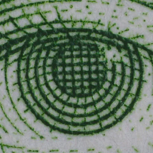 Sample Image Center Crop Sample Image Center Crop