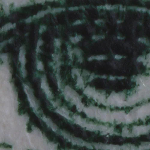 Sample Image Center Crop Sample Image Center Crop