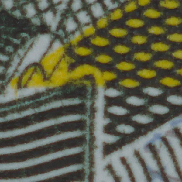 Life Size 1:1 Magnification Vivitar 90mm f/2.8 at 1:1 Magnification