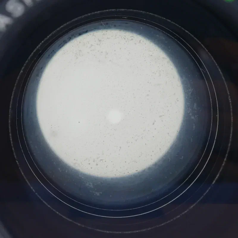lens fungus or haze lens fungus or haze