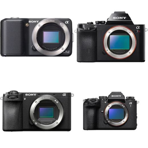 feature image