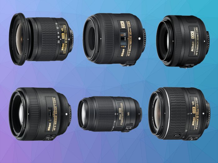 The Best Fun and Reliable Lenses for the Nikon D3100