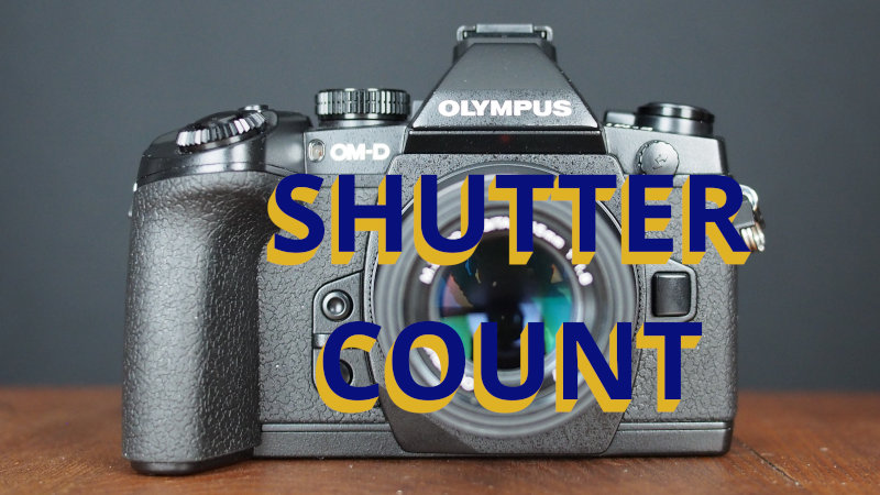 How to Check Olympus Camera Shutter Count